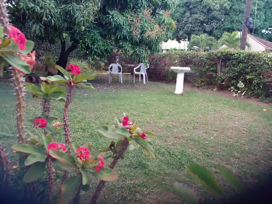 Aunt G'S Homestay Kingston 0*,  Jamajka