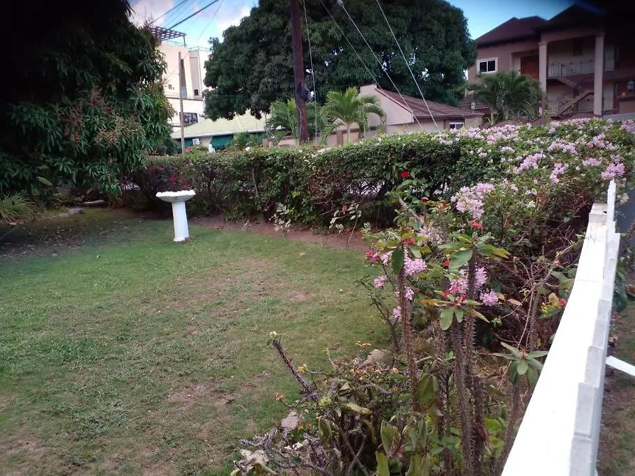 Apartmán Aunt G'S Homestay Kingston Jamajka
